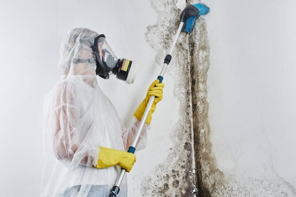 Best Water Damage Restoration  in Augusta, WI