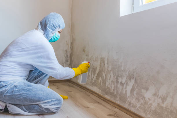 Crawl Space Mold Removal in Augusta, WI