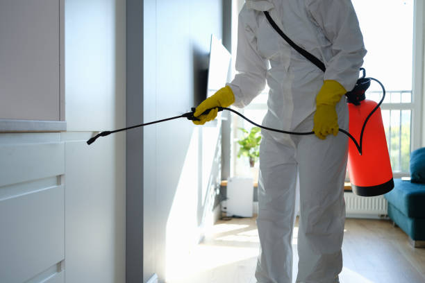 Best Mold Remediation  in Augusta, WI